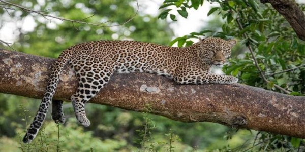 AFRICAN TREK & TRAVEL