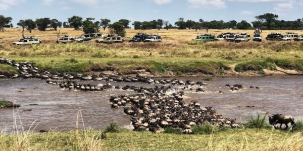 AFRICAN TREK & TRAVEL