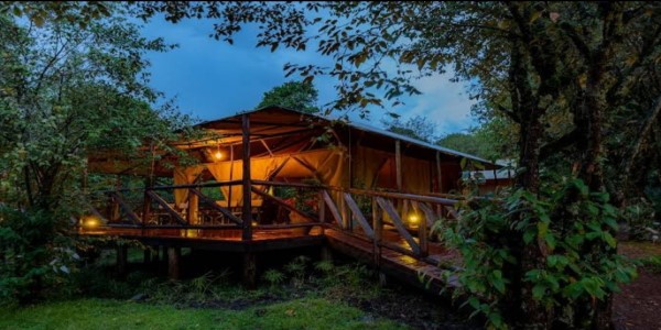 AFRICAN TREK & TRAVEL