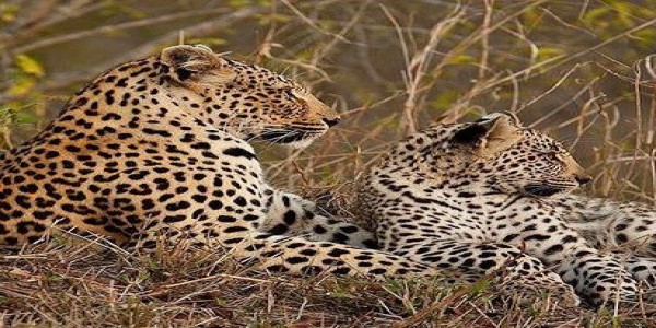 AFRICAN TREK & TRAVEL