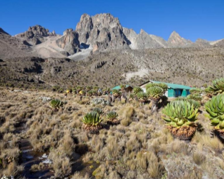 AFRICAN TREK & TRAVEL