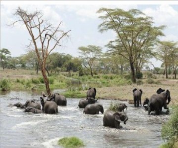 AFRICAN TREK & TRAVEL