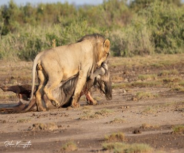 AFRICAN TREK & TRAVEL