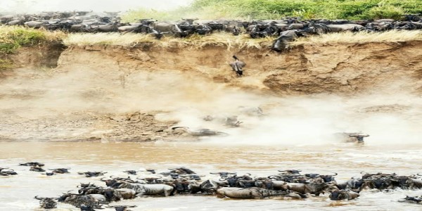 AFRICAN TREK & TRAVEL