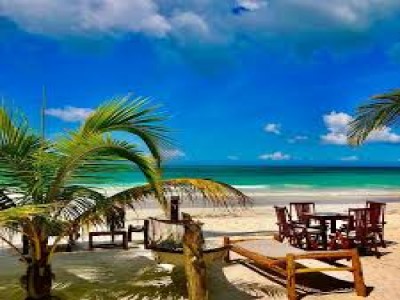 Zanzibar Honeymoon Packages & Beach Tour Itinerary In 2023