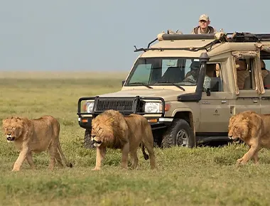 12-day tanzania safari & zanzibar