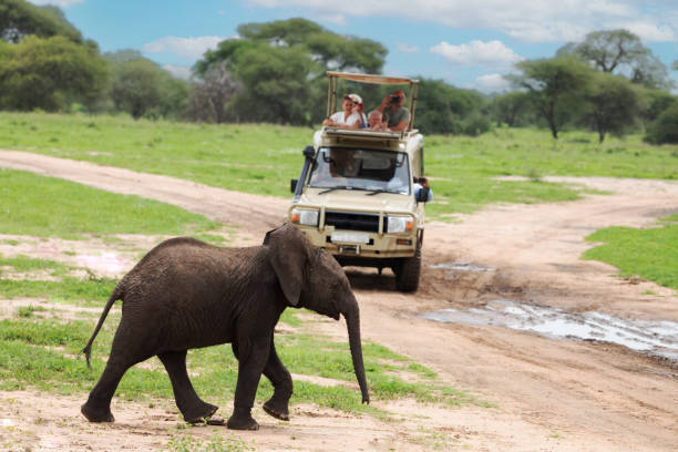 Big Five Safari 2026