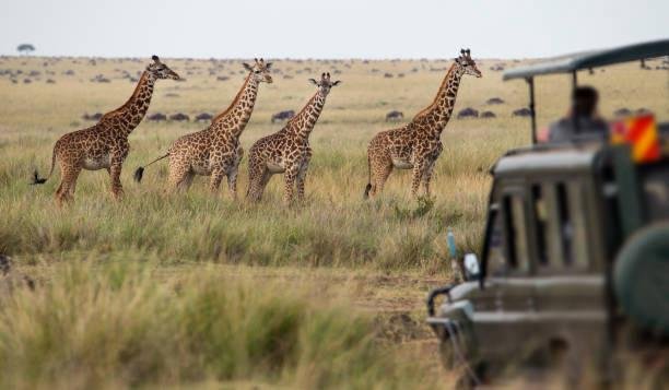 best namibia self-drive itineraries