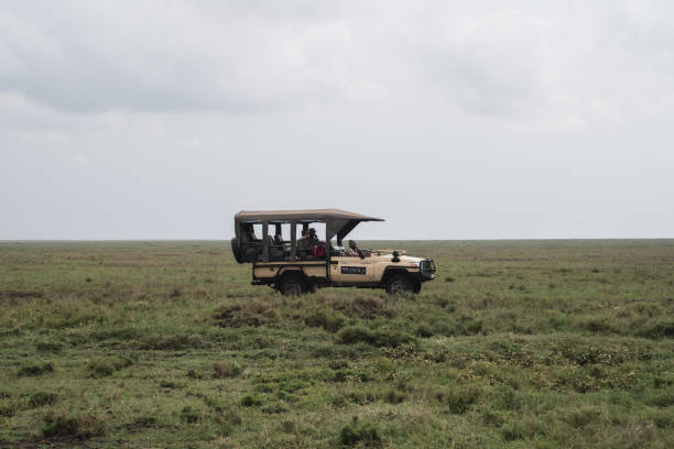 7 days northern circuit luxury safari