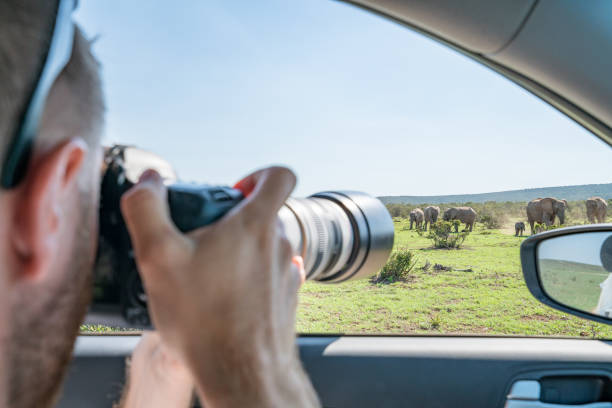 Big Five Safari