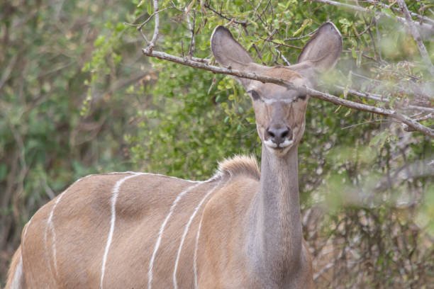 best unknown safari parks in southern africa