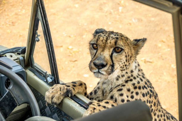 best namibia campsites for self drive