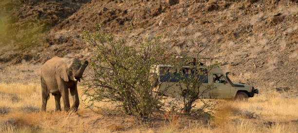 how much does a namibia safari cost