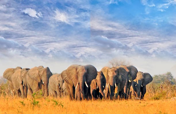 best time to visit hwange national park 2026-2027