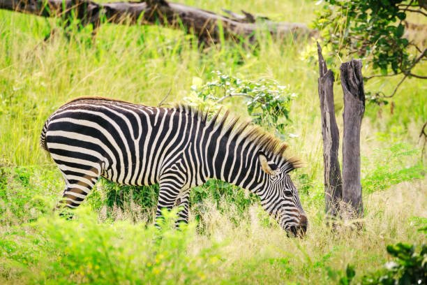 how to travel from kilimanjaro to manyara