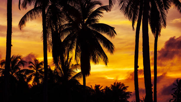 best nigeria nature destinations