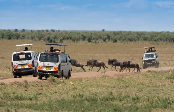 best kenya safari packages