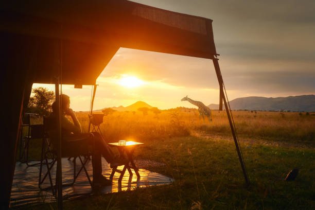 zimbabwe luxury safari lodges: best reviews