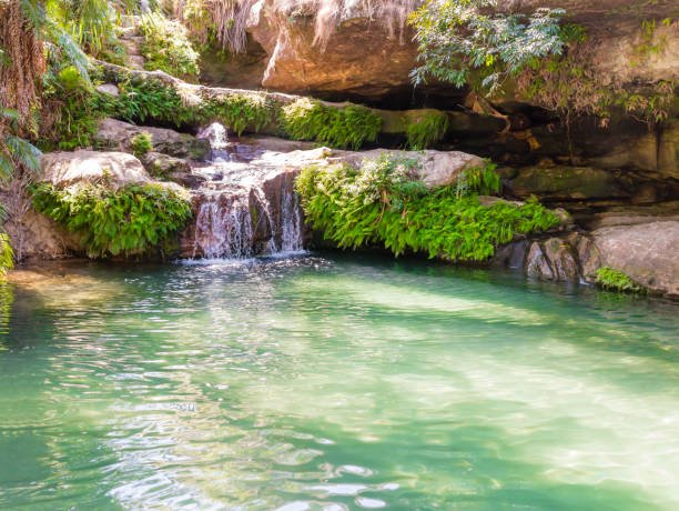 isalo national park hiking: canyons & natural pools