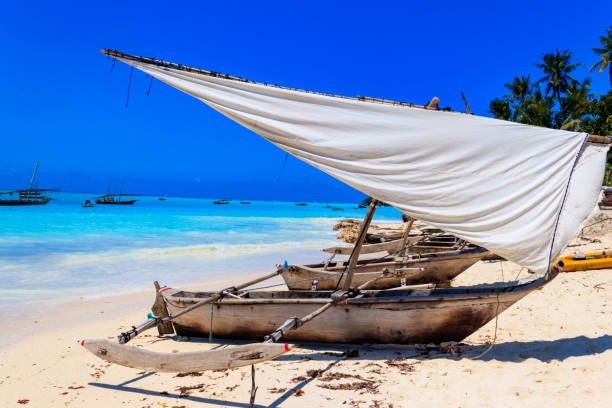 best tanzania + zanzibar combined packages
