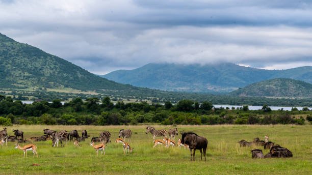 best african conservation areas for travelers