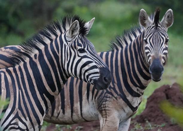how to visit kafue national park