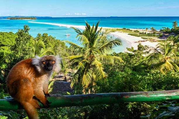 how to visit madagascar on a budget