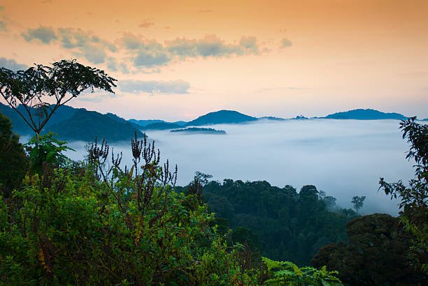 mount bisoke trekking: crater lake hike