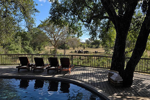  south africa luxury safari lodges