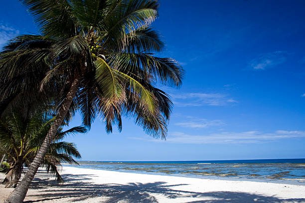 best beaches in kenya
