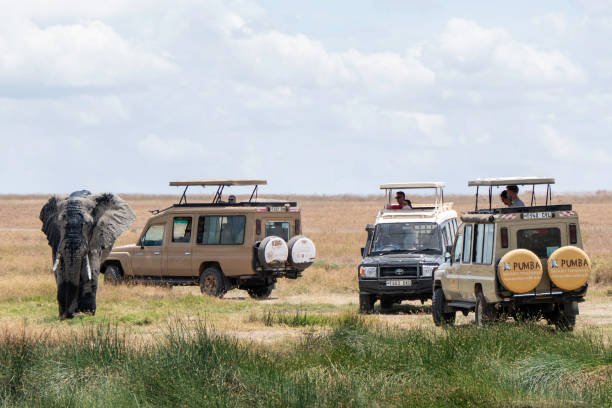 best island + safari combination packages