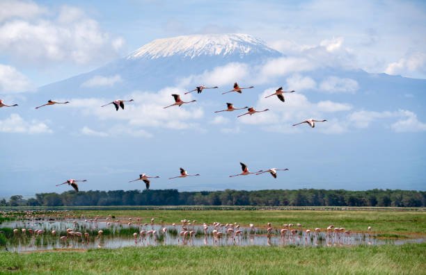how to visit amboseli national park