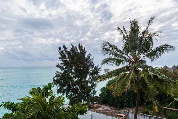 best time to visit zanzibar