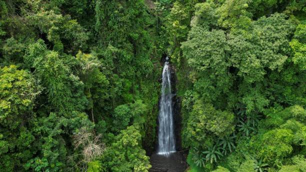 são tomé rainforest trekking: obo national park