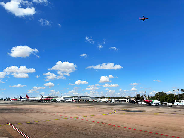 best airlines flying to africa