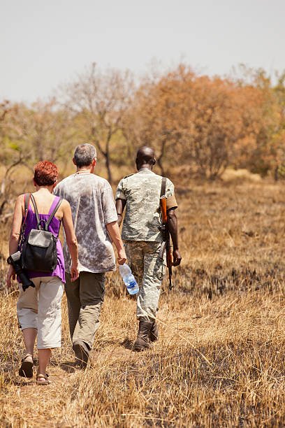 how to book a zambia walking safari