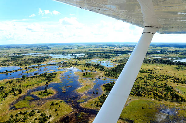 how to fly to the okavango delta