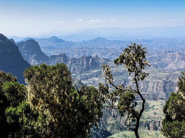 what are the top hikes in ethiopia’s simien mountains
