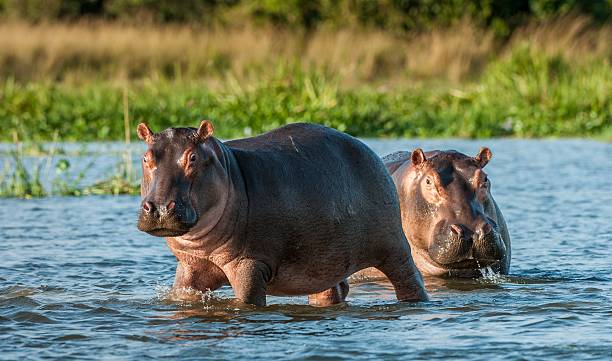 how to visit namibia naukluft national park