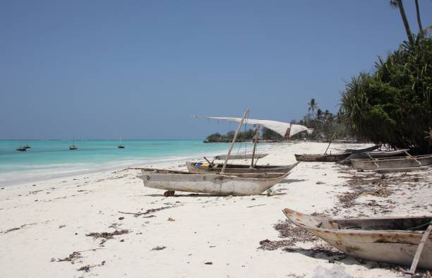 how to visit zanzibar on a budget
