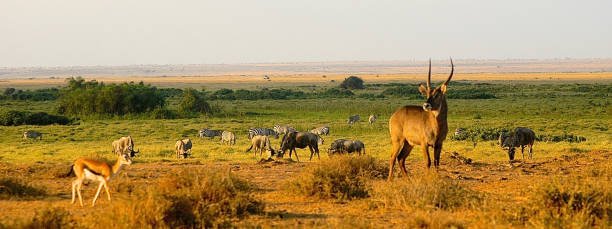 best african national parks for budget travelers