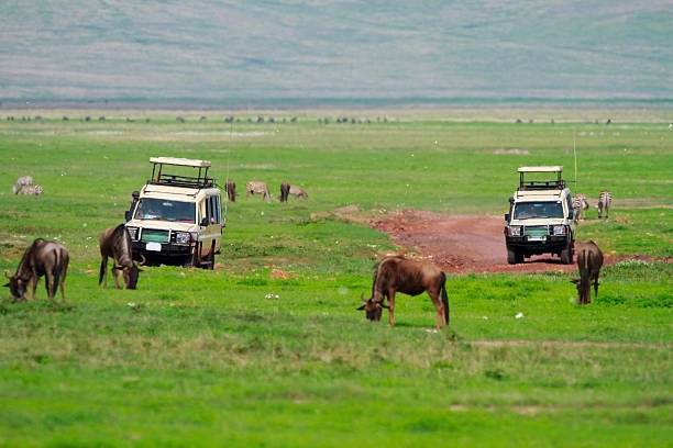 join-2-days-tanzania-lodge-safari-itinerary