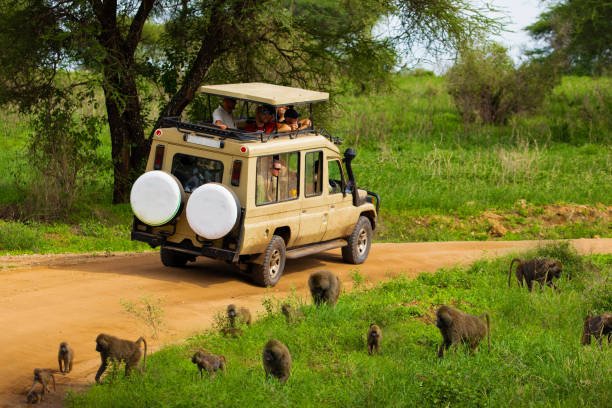 tanzania-2-days-safari-itinerary-tour-package