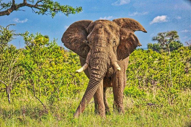 how to visit hwange national park