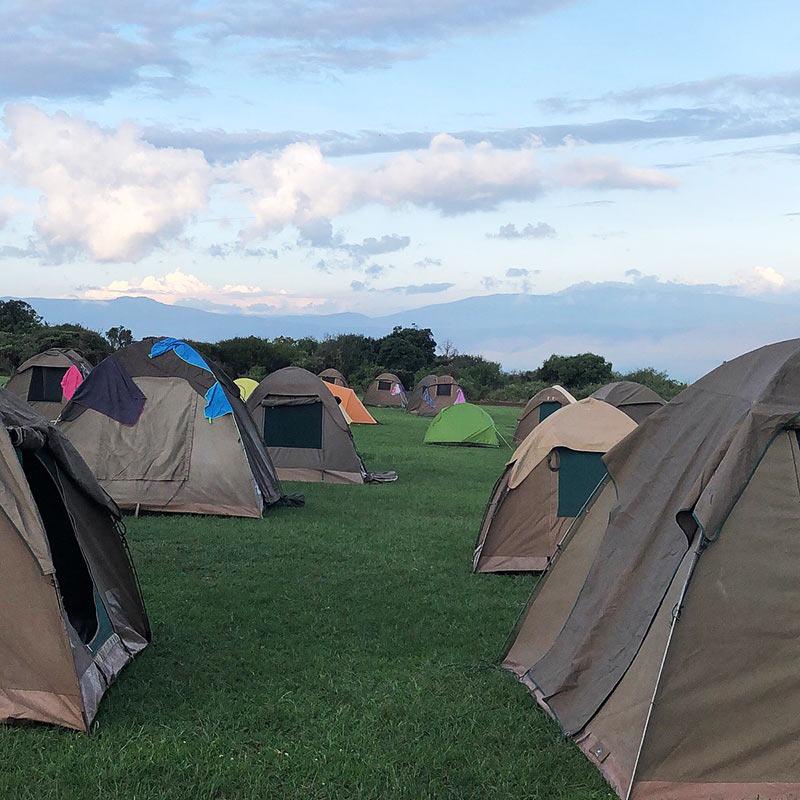 🔥 unbeatable 3 days tanzania camping safari