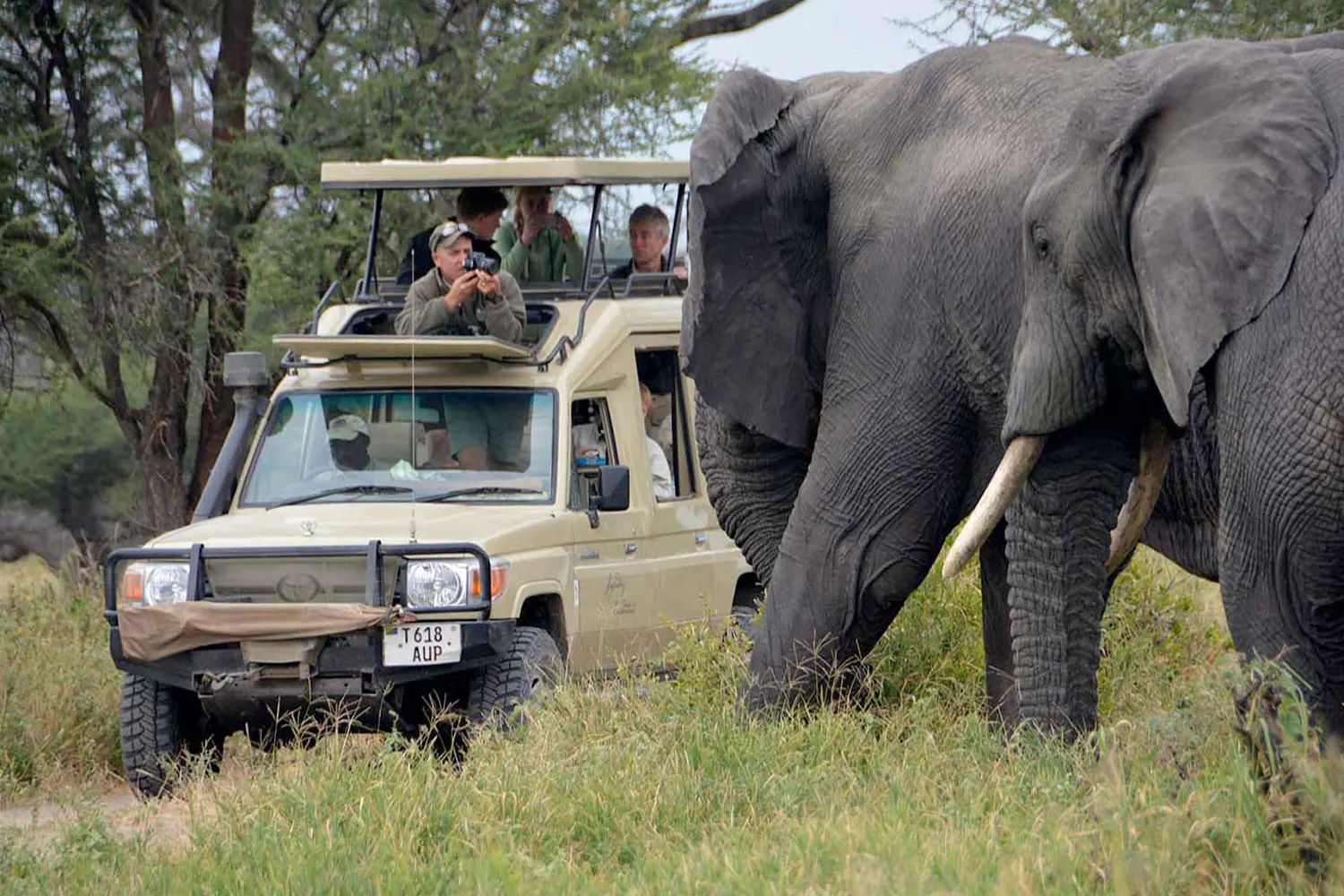 4 days africa safari tours best wildlife trips price, 4 Days Africa Safari Tours – Best Wildlife Trips & Price