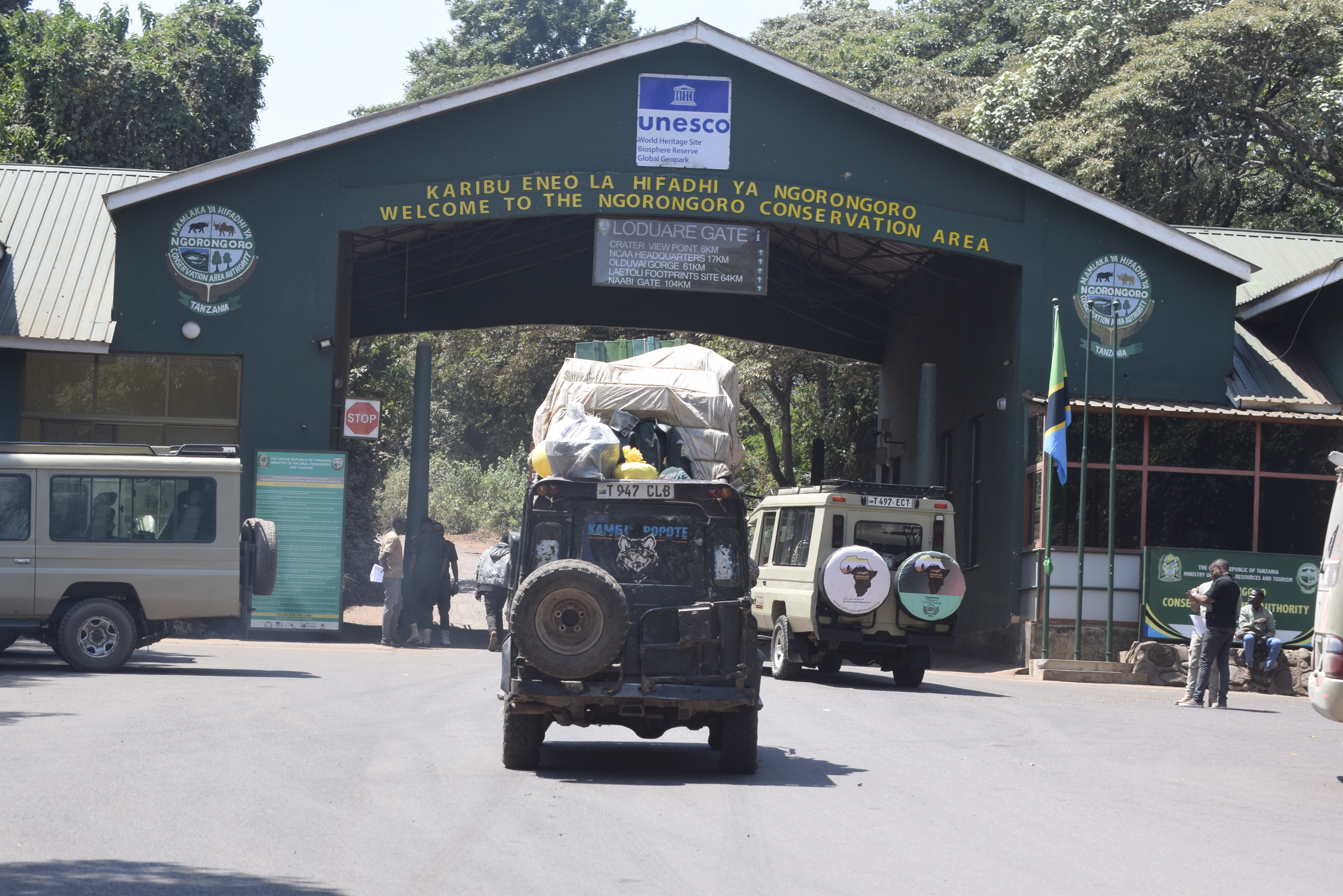 How do group safaris compare to private safaris?