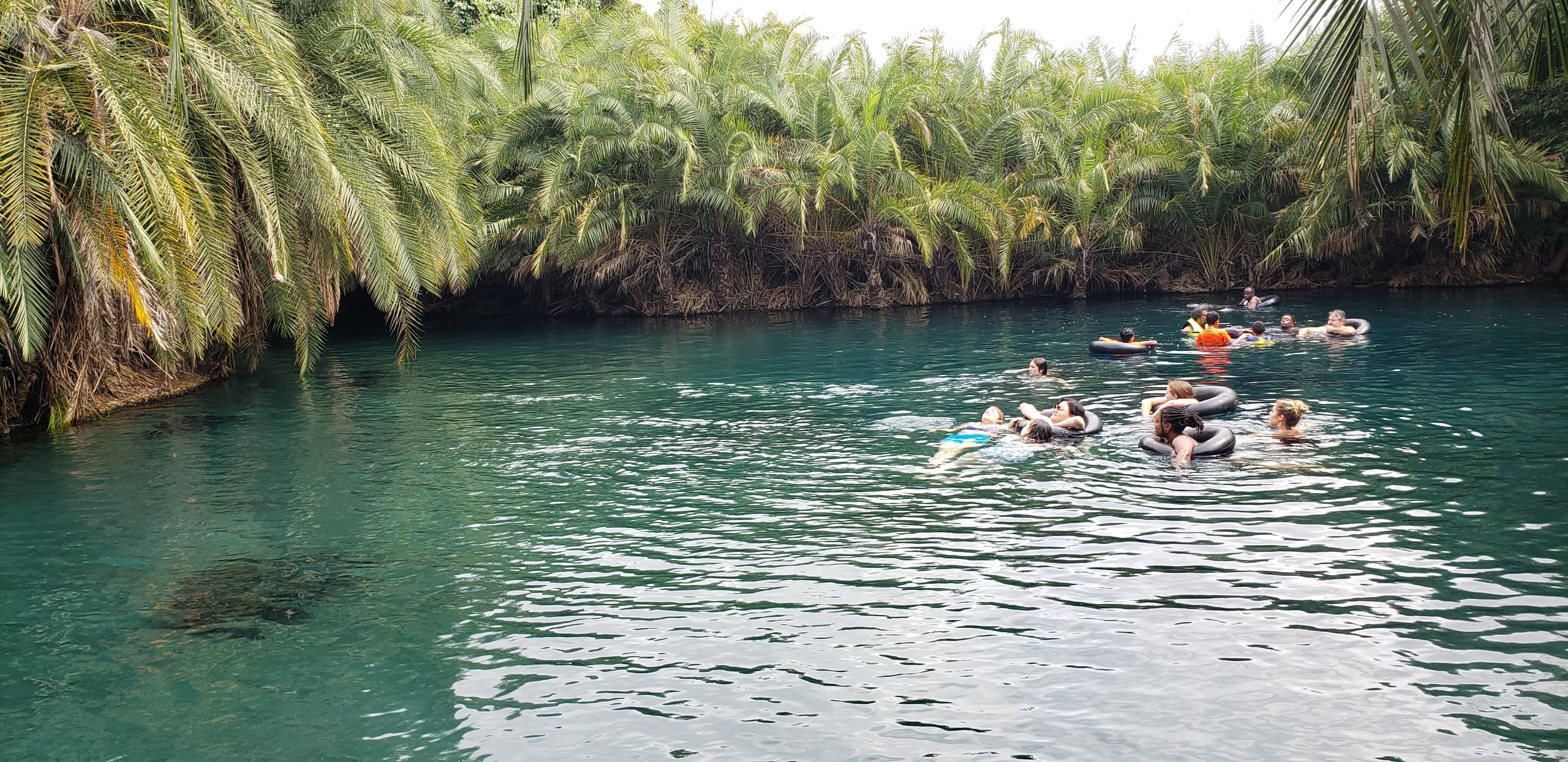 book now! kikuletwa, chemka hot springs day trip