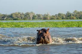 African Trek & Travel - Best Tour Operator in Tanzania 2026 - 2027