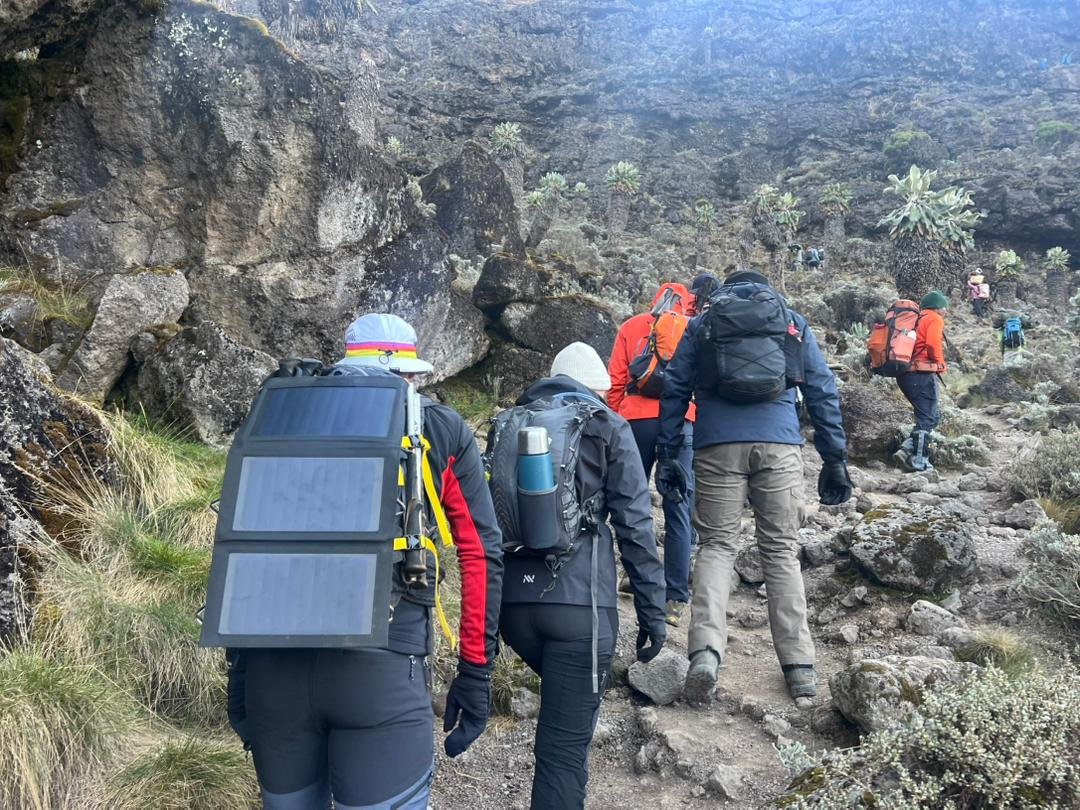 Seven-day Rongai Route climb from the northern side of Kilimanjaro